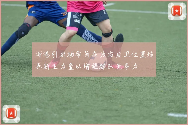 海港引进杨希旨在为右后卫位置培养新生力量以增强球队竞争力