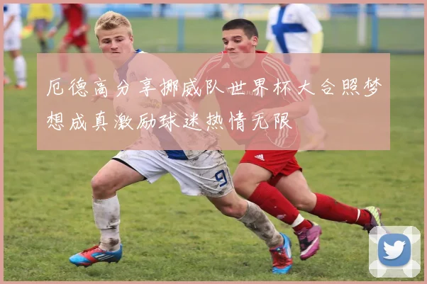 厄德高分享挪威队世界杯大合照梦想成真激励球迷热情无限