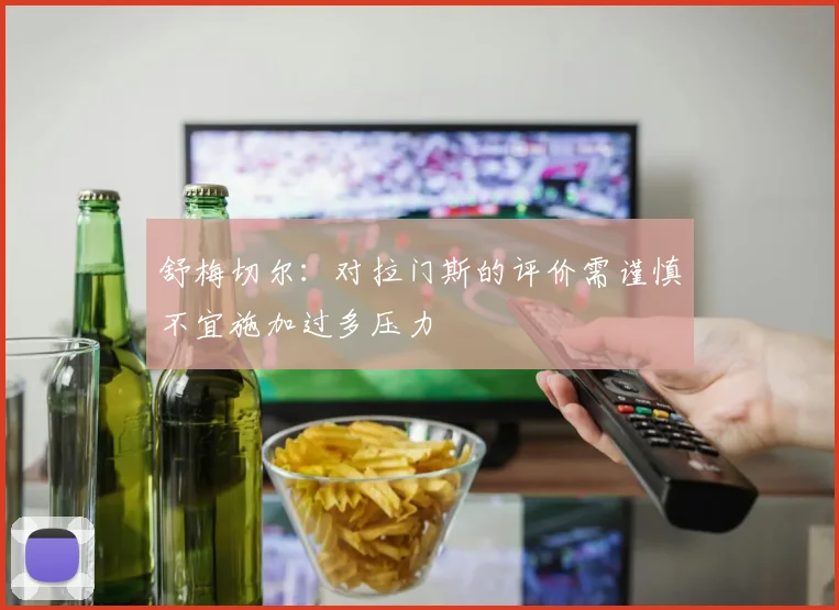 舒梅切尔：对拉门斯的评价需谨慎不宜施加过多压力