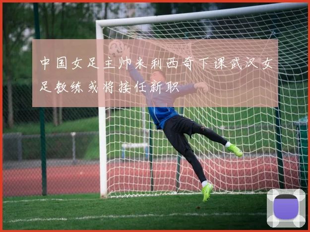 中国女足主帅米利西奇下课武汉女足教练或将接任新职