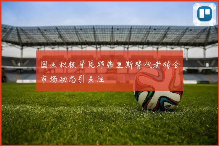 国米积极寻觅邓弗里斯替代者转会市场动态引关注
